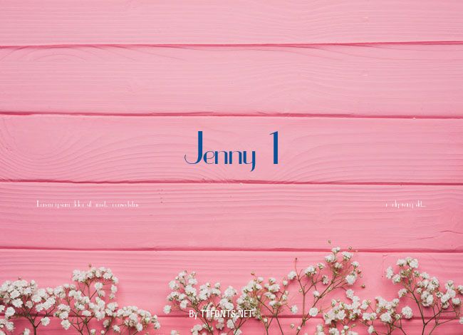 Jenny 1 example